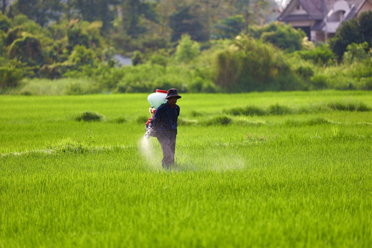 Atrazine In Water