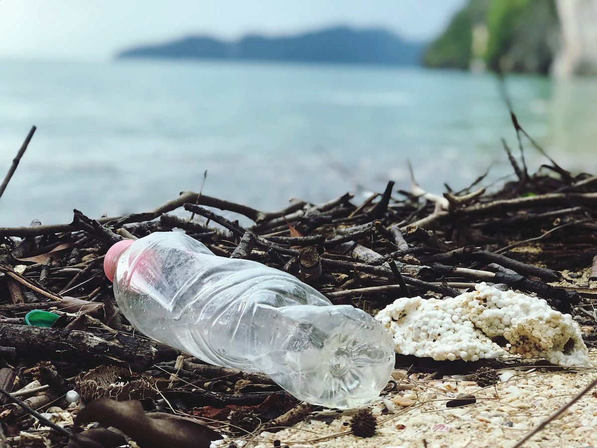 How To Filter Microplastics From Water