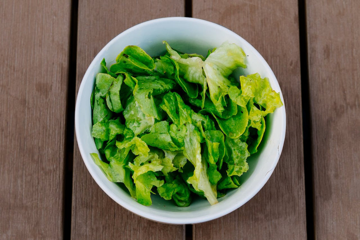Healthy Salad Recipes